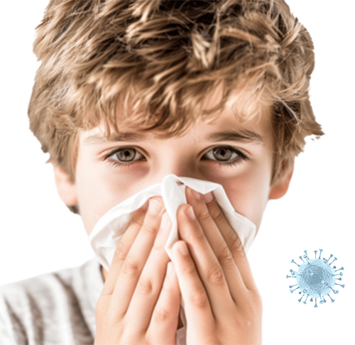 Air Ducts Cleaners Flower Mound TX